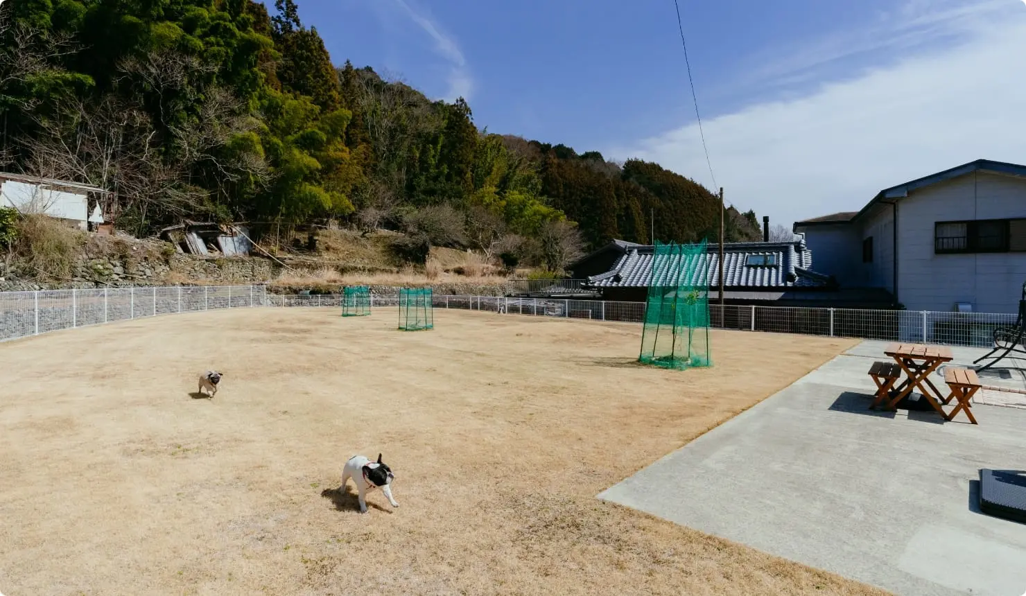 芝生の広場で遊ぶ2匹の犬。周囲はフェンスで囲まれており、右側には木製テーブルとベンチが置かれている。背景には山と建物が見える。